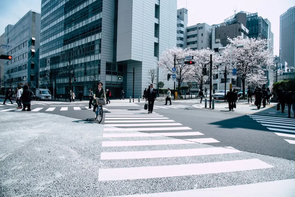 A street view in Japan